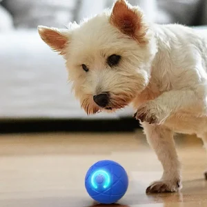 InteractiveBall – Självrörlig & Lysande Husdjursboll för Hund & Katt